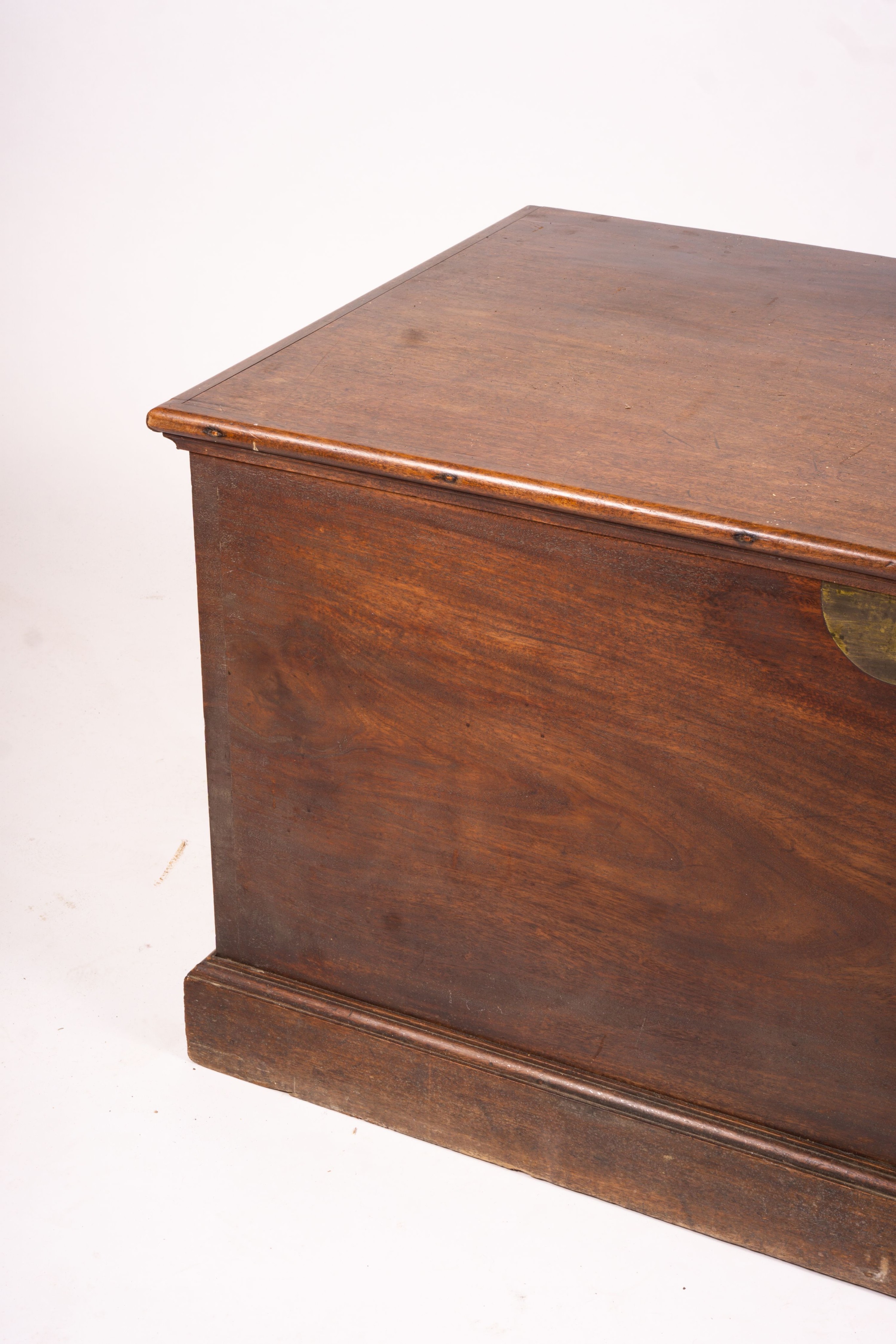 A large 19th century mahogany trunk with brass side handles, length 125cm, width 63cm, height 62cm